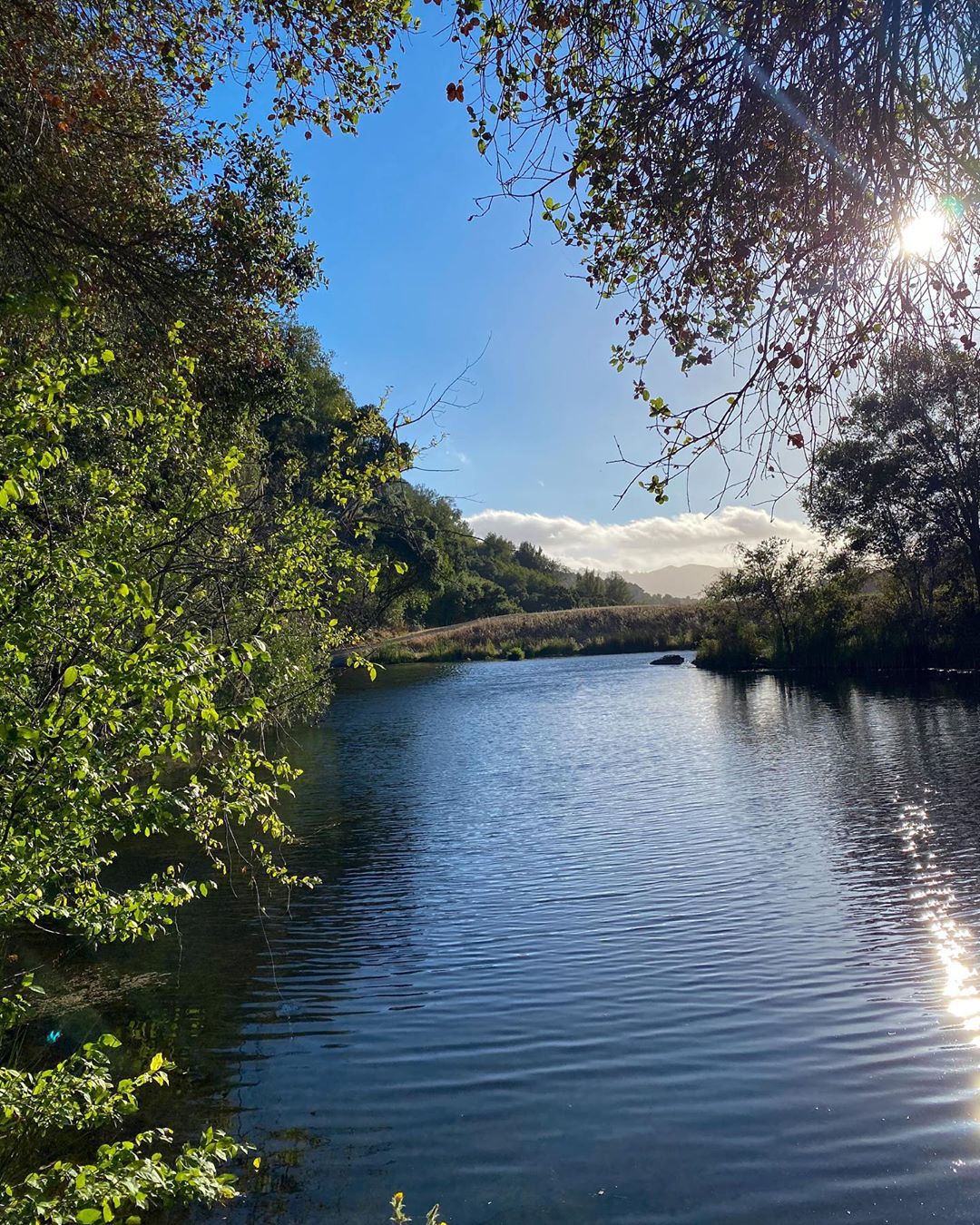 Vanessa Rallonza stands gracefully beside a serene river, surrounded by lush trees that sway gently in the warm sunlight. The tranquil setting captures the essence of nature's beauty, reflecting the peaceful demeanor of Vanessa Rallonza, a petite Filipino-American woman with dark brown hair.